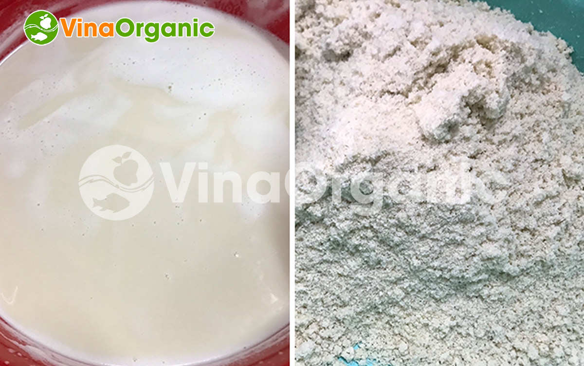VinaOrganic chuyên chuyển giao công nghệ sữa đậu nành thanh trùng dinh dưỡng. LH/Zalo 0938299798 - 0975299798 để được tư vấn!