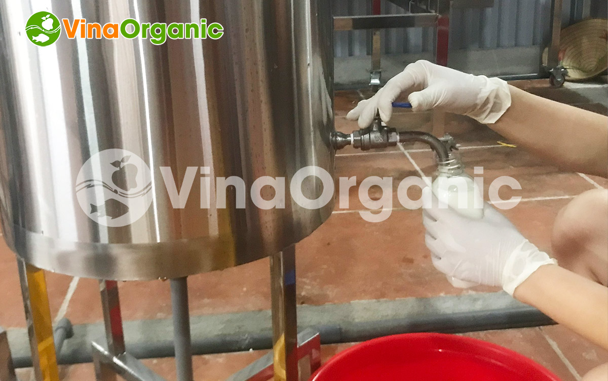 VinaOrganic chuyên lắp đặt và chuyển giao công nghệ sữa dừa thanh trùng thơm ngon. LH/Zalo 0938299798 - 0975299798 để được tư vấn!