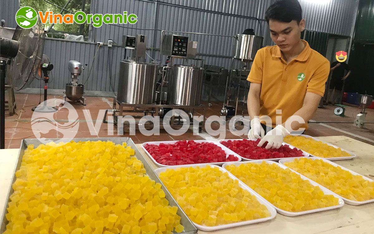 Chuyển giao công nghệ có hữu ích? Đâu là 8 lý do bạn nên học chuyển giao công nghệ? Cùng VinaOrganic tìm hiểu ngay qua bài viết này nhé!