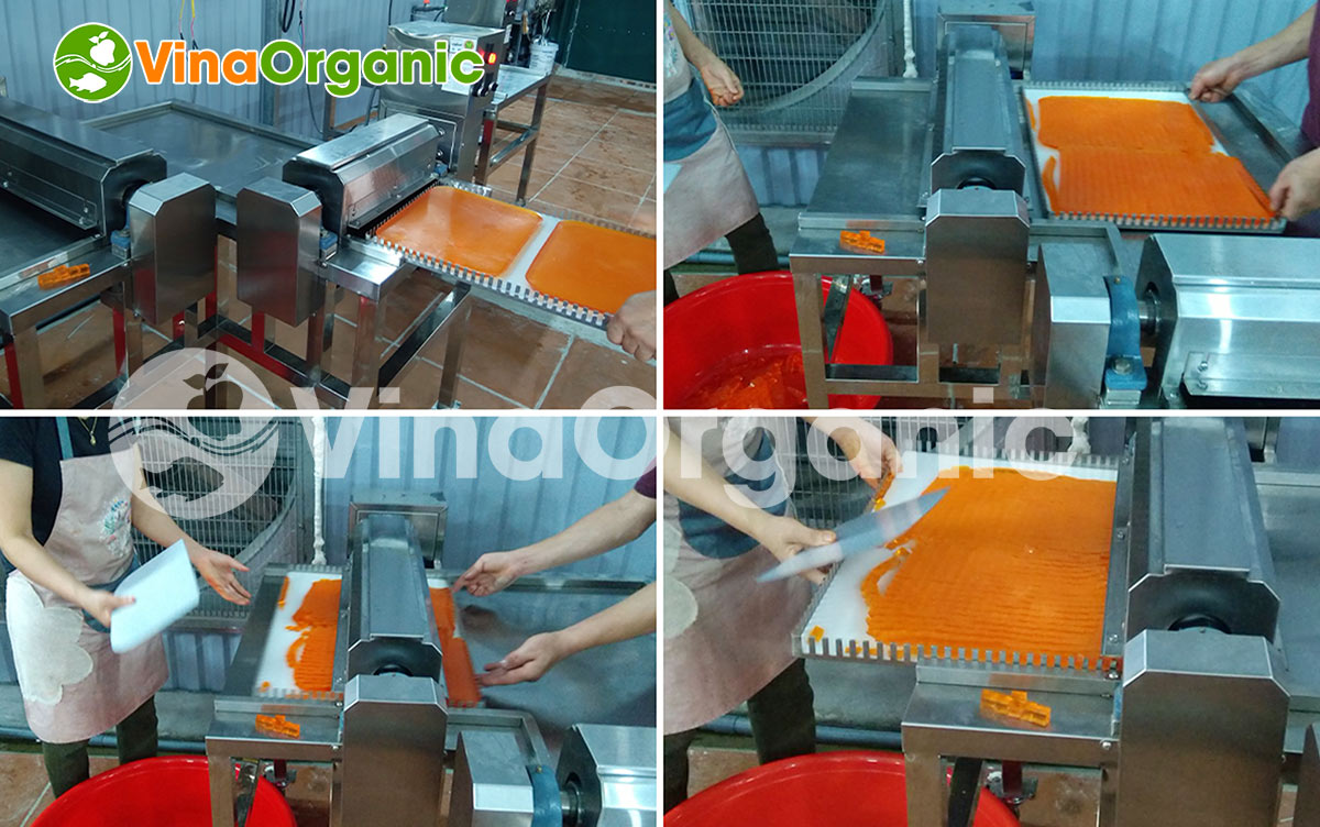 VinaOrganic chuyên lắp đặt và chuyển giao công nghệ kẹo dẻo hình vuông và trái tim hương trái cây đa dạng. LH/Zalo 0938299798 - 0975299798