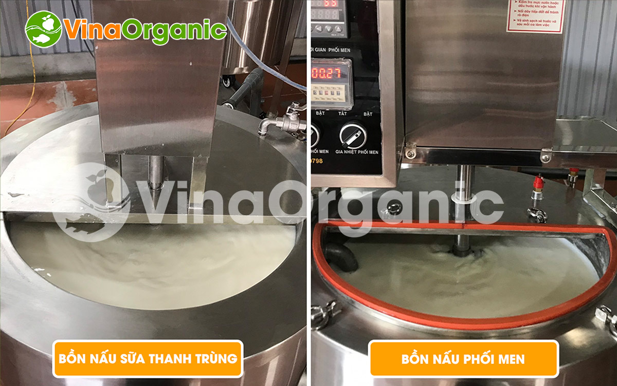 Trong bài viết này, VinaOrganic sẽ hướng dẫn cho các bạn cách làm sữa chua số lượng lớn cực đơn giản ngay tại nhà chỉ với vài bước đơn giản.