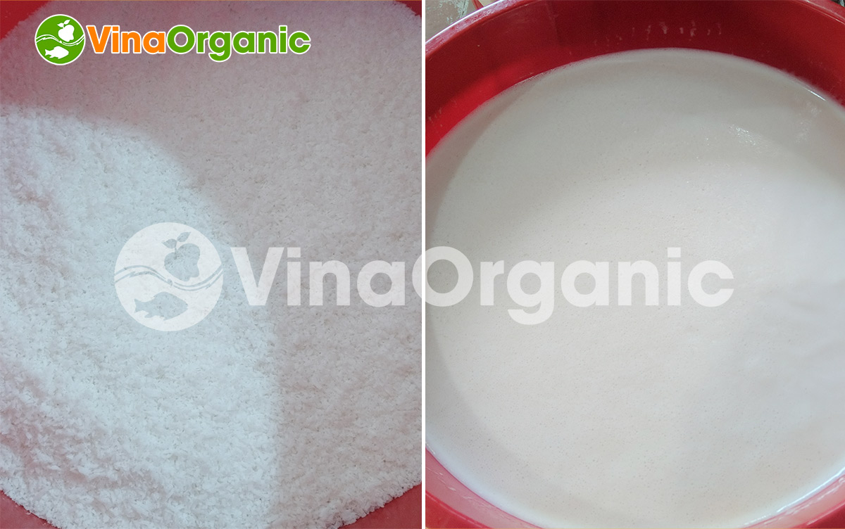 VinaOrganic cung cấp máy thiết bị và chuyển giao công nghệ sữa dừa chất lượng cao. Liên hệ ngay Hotline/Zalo: 0938299798 – 0975299798.