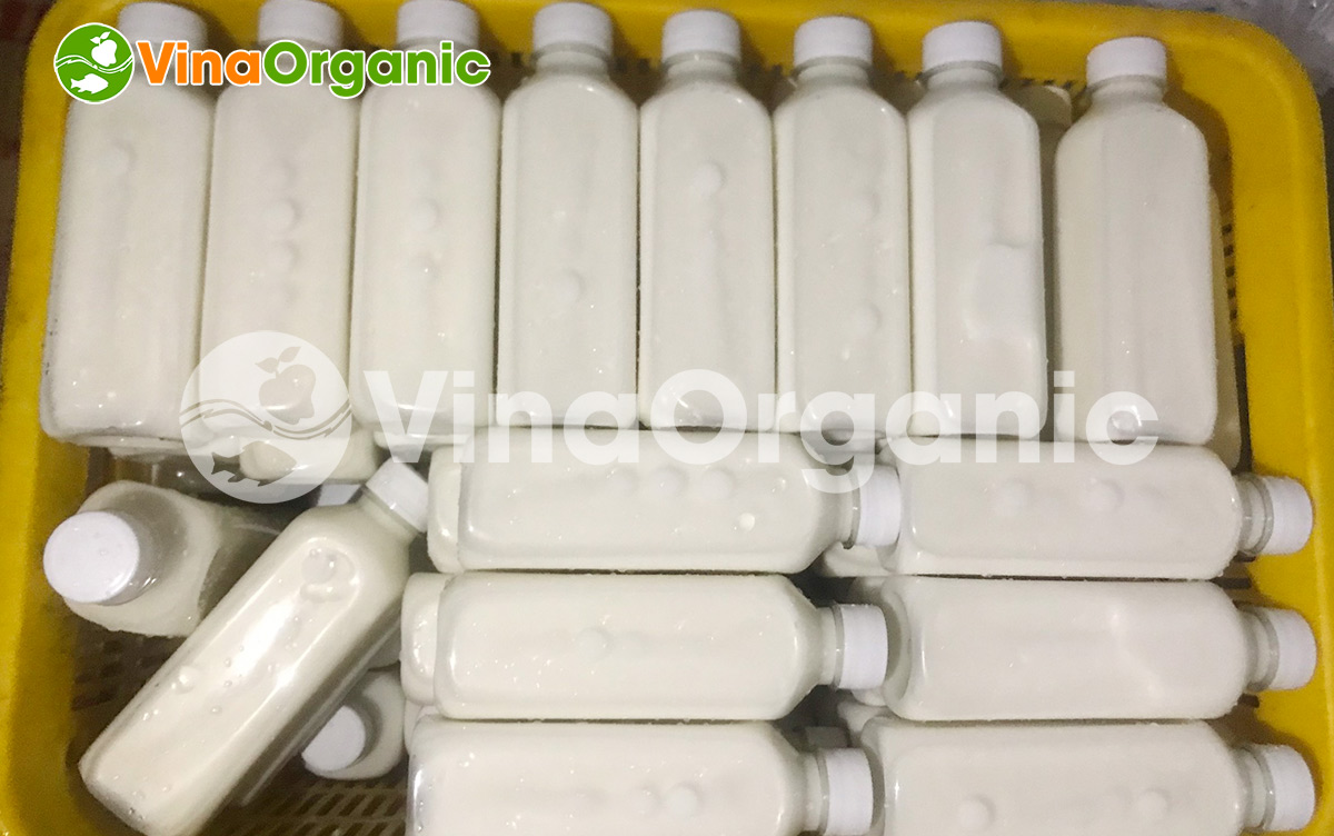 VinaOrganic chuyên lắp đặt và chuyển giao công nghệ sữa dừa thanh trùng thơm ngon. LH/Zalo 0938299798 - 0975299798 để được tư vấn!