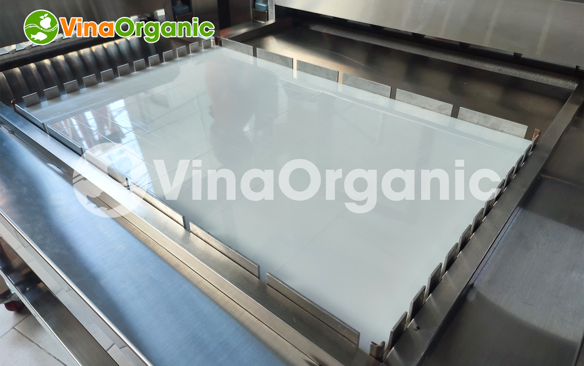 VinaOrganic cung cấp máy cắt kẹo MCK46 (mâm cắt 40x60cm), cắt nhanh, cắt đa năng. LH Hotline/Zalo: 0938299798 - 0975299798 để được tư vấn!