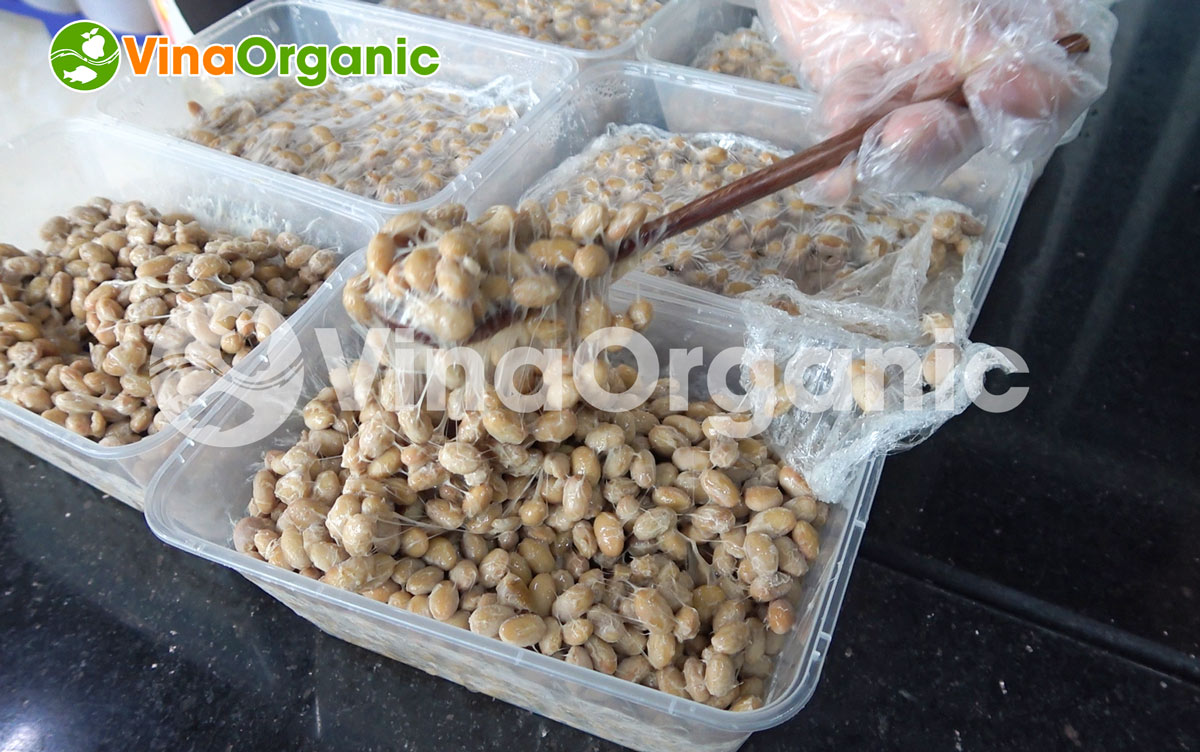 Máy ủ lên men natto 3 khay NATTO0344, full inox 304, lên men hiệu quả, chất lượng, tiết kiệm điện... Hotline/Zalo: 0938299798 – 0975299798