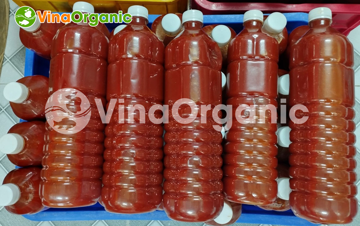 Máy nấu và làm nguội xốt, năng suất 50 lít/mẻ. Full inox 304, nấu xốt lẩu, gia vị lẩu thái, lẩu kim chi,... Hotline/Zalo: 0938299798 – 0975299798