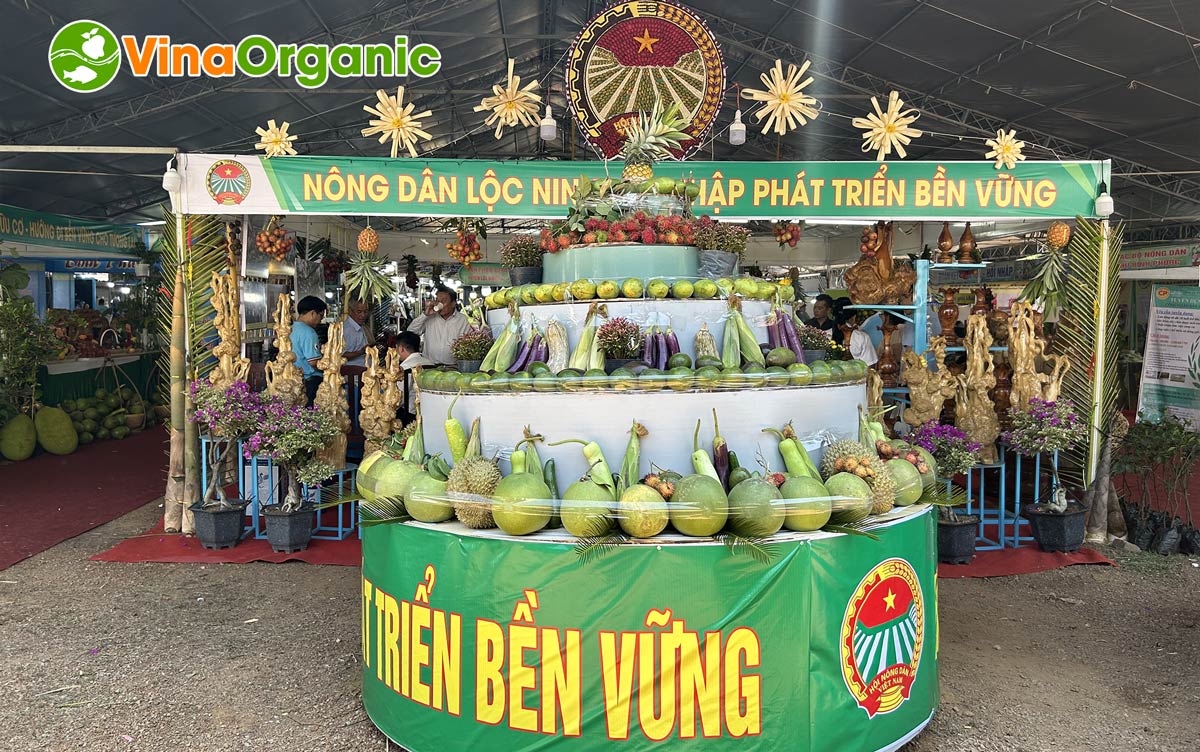 Tháng 6 vừa qua, VinaOrganic đã có cơ hội tham gia Hội chợ trái cây và hàng nông sản tỉnh Bình Phước lần thứ VI năm 2023