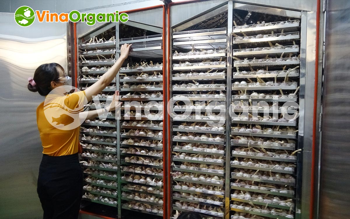 VinaOrganic đã hoạt động từ năm 2014 tới nay hơn 500 khách hàng. Vậy đâu là 8 lý do bạn nên chọn mua máy thiết bị thực phẩm của VinaOrganic? 