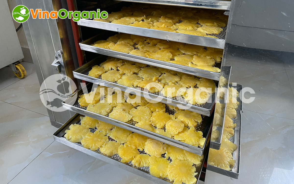 Dứa sấy dẻo là một viên ngọc quý để khai thác, phát triển. Cùng VinaOrganic tìm hiểu cách làm Dứa sấy dẻo với quy trình cực kỳ đơn giản nhé!