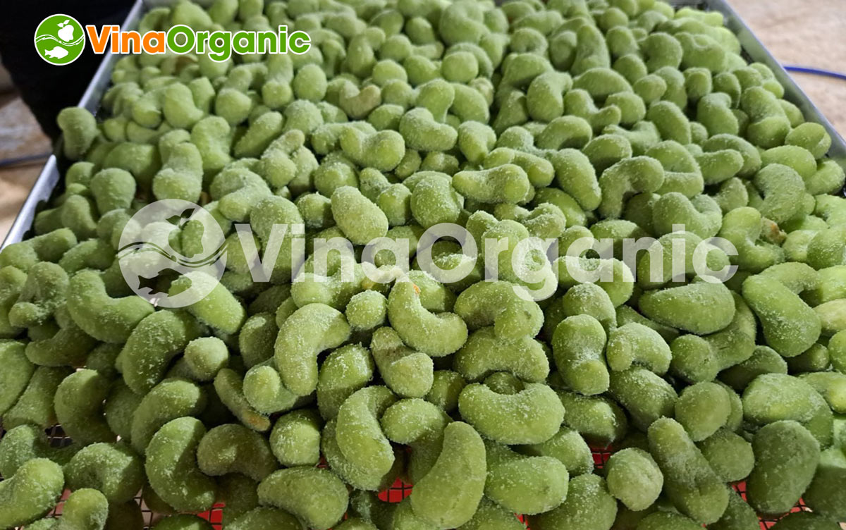 VinaOrganic chuyên lắp đặt và chuyển giao công nghệ hạt điều wasabi.Liên hệ Hotline/Zalo: 0975.299798 – 0938.299798 để được tư vấn!