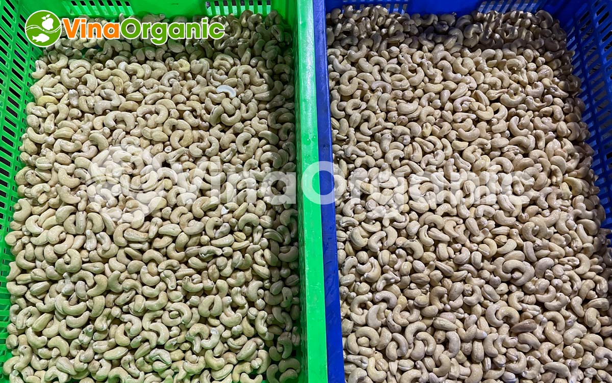 VinaOrganic chuyên lắp đặt và chuyển giao công nghệ hạt điều wasabi.Liên hệ Hotline/Zalo: 0975.299798 – 0938.299798 để được tư vấn!