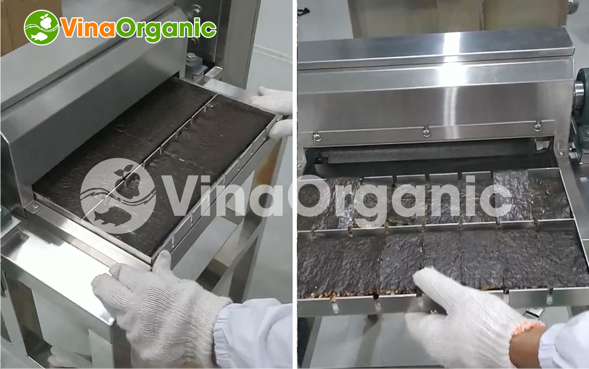 VinaOrganic bàn giao, lắp đặt và hướng dẫn sử dụng dây chuyền Thanh rong biển kẹp hạt. Liên hệ 0975.299798 – 0938.299798 để được tư vấn!