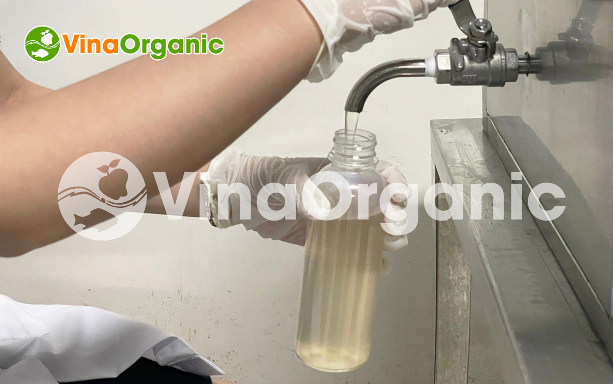 VinaOrganic chuyển giao công nghệ nước sả gừng, công thức chuẩn hóa, dễ thực hiện. Liên hệ ngay Hotline/Zalo: 0938299798 – 0975299798.