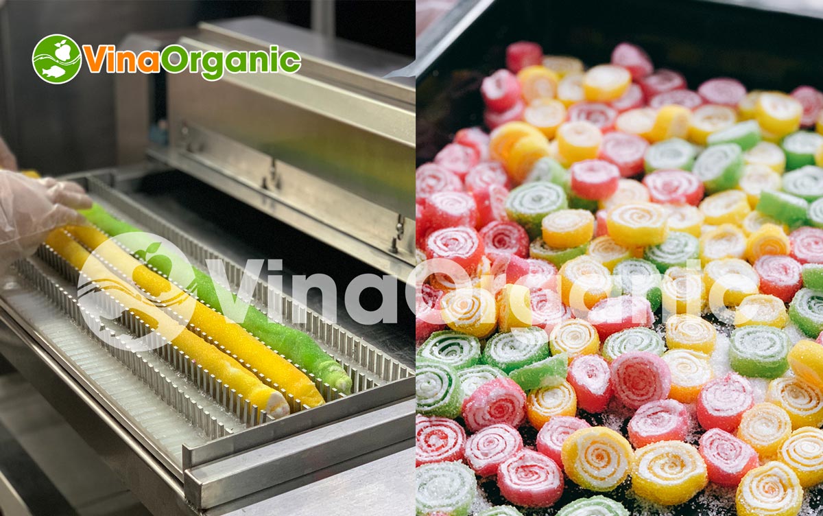 Giải pháp tối ưu hóa sản xuất với Máy cắt thanh bánh/thanh ngũ cốc VinaOrganic. Liên hệ tư vấn: 0938 299798 - 0975 299798