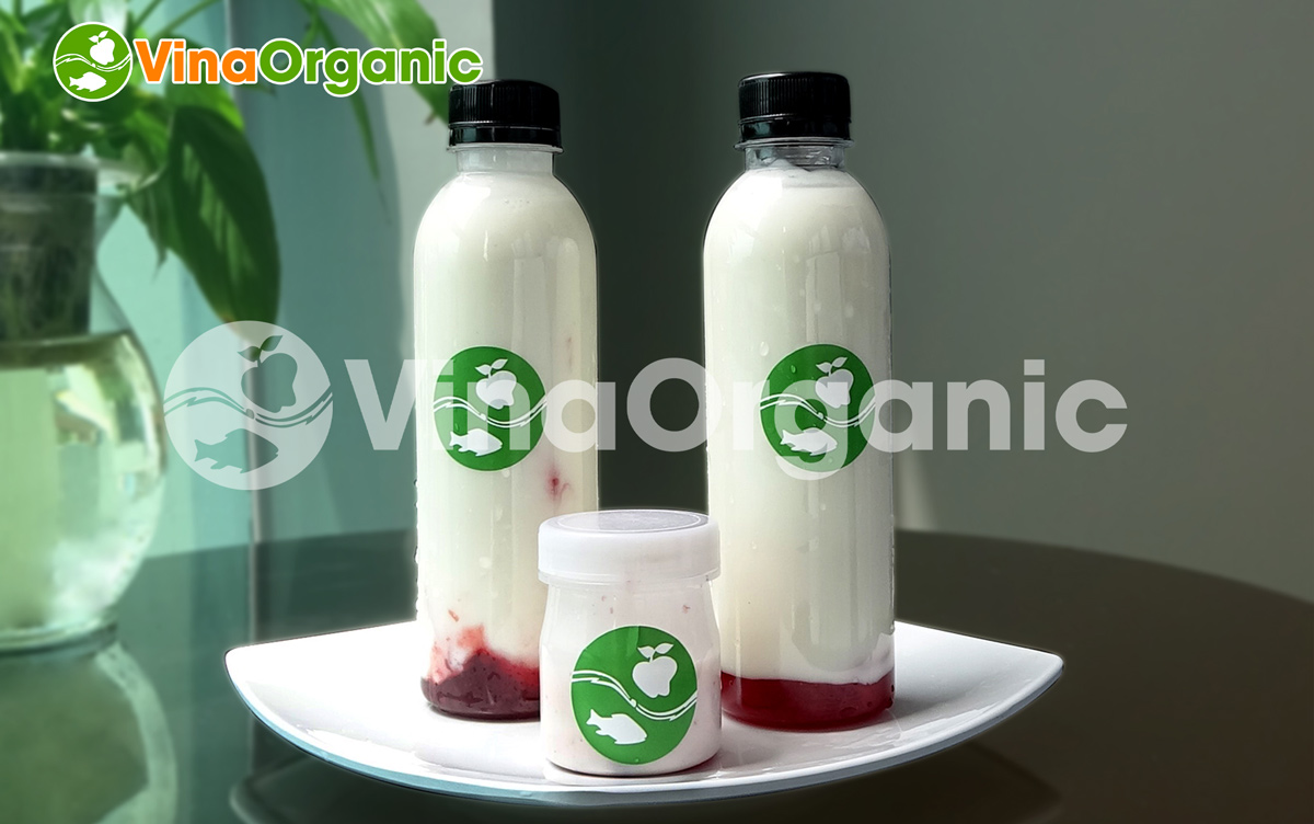 Máy nấu phối men kết hợp sữa chua 100L - Model VYM100, ủ sữa chua uống, full inox304, tiết kiệm điện. Liên hệ Hotline/Zalo 0938299798 – 0975299798.