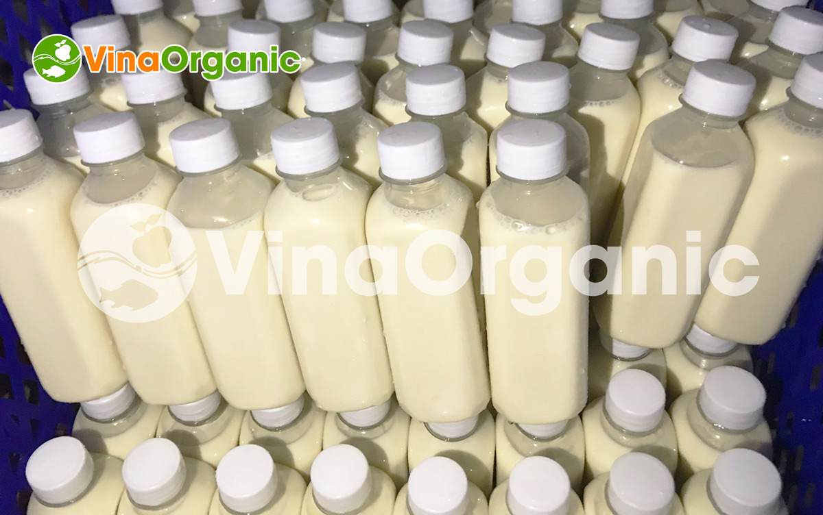 VinaOrganic chuyển giao công nghệ sữa bò tươi thanh trùng đóng chai, chất lượng cao. Liên hệ 0975299798 - 0938299798 ngay!