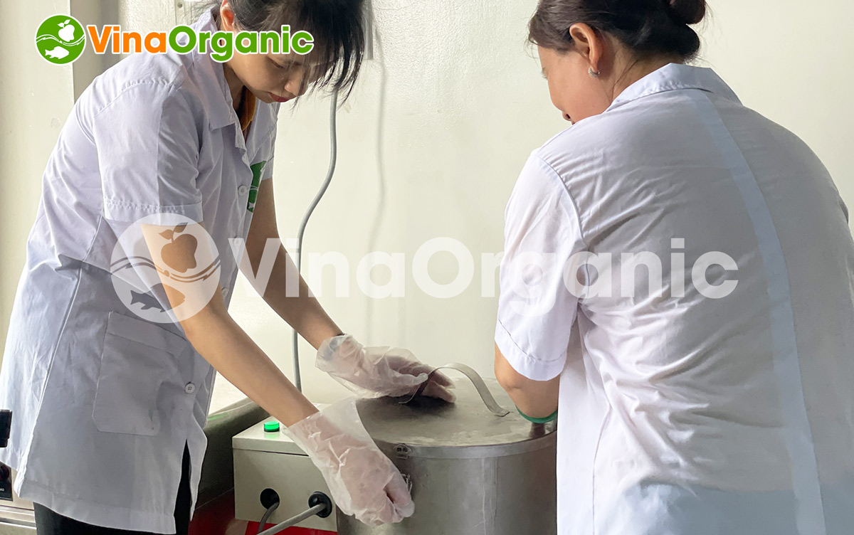 Muối ớt xanh đã quá quen thuộc với các tín đồ ăn uống. Nắm bắt được xu hướng, VinaOrganic đã nghiên cứu thành công công nghệ muối ớt xanh siêu ngon