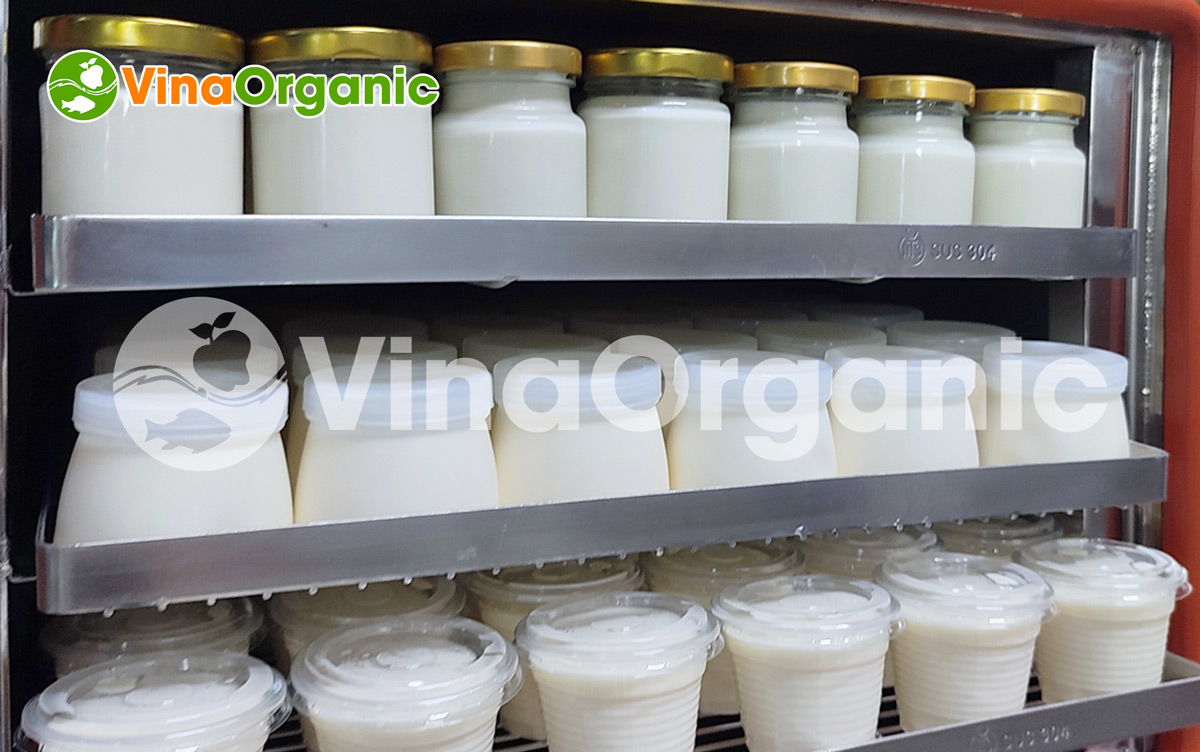 Máy ủ sữa chua VYogurt 9 khay VY009 vận hành dễ dàng, năng suất cao, điện năng tiêu thụ thấp. Hotline/Zalo: 0938299798 – 0975299798
