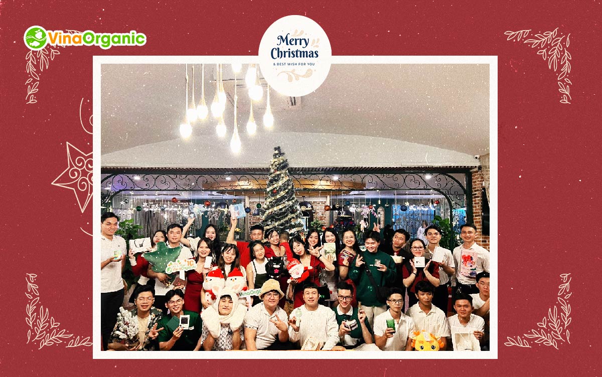 Trước lễ giáng sinh 2023, các thành viên của gia đình VinaOrganic đã cùng nhau trang trí phòng làm việc và dự tiệc Christmas Party ấm áp...