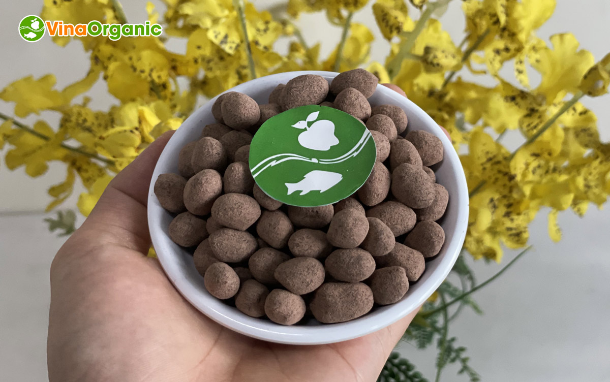 VinaOrganic đã nghiên cứu thành công công nghệ sản xuất đậu phộng caramel vị socola và sẵn sàng chuyển giao đến khách hàng.