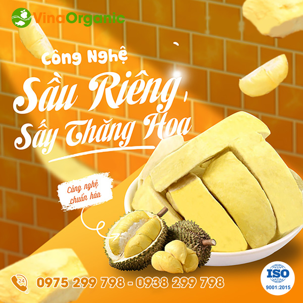 Chuyển giao công nghệ Sầu riêng Sấy thăng hoa giòn xốp, giữ nguyên màu, dinh dưỡng