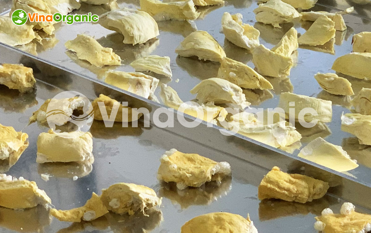 Tại VinaOrganic đã nghiên cứu thành công công nghệ sấy thăng hoa giúp sấy sầu riêng dạng tươi thành sản phẩm có thể bảo quản dài lâu.