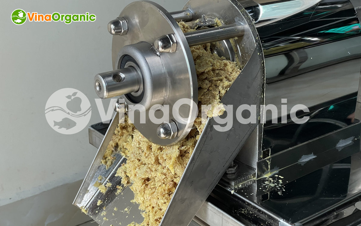 VinaOrganic đã cải tiến, hoàn thiện và cho ra đời dòng máy Ép nước cốt gừng- Model EDN001 với thiết kế hiện đại, độ bền bỉ cao và năng suất cực kỳ ấn tượng.