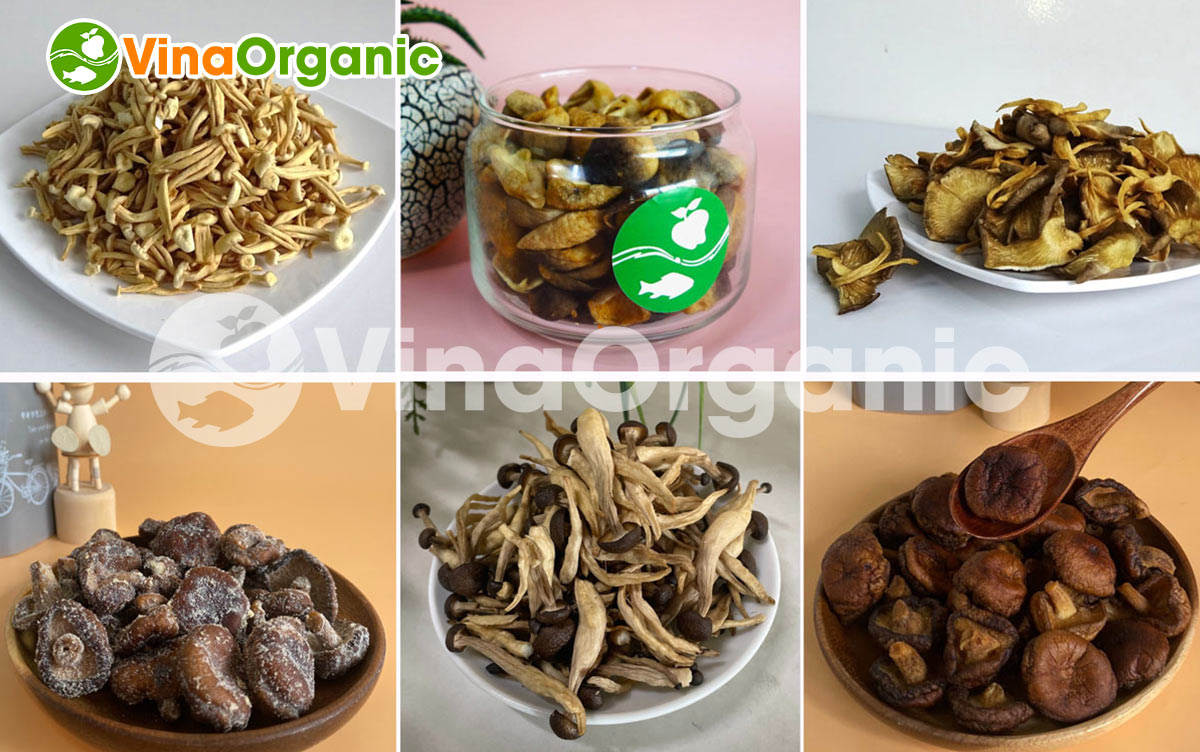 VinaOrganic là đơn vị cung cấp dây chuyền sản xuất snack nấm chiên chân không tẩm vị hiện đại. Liên hệ Hotline: 0975299798 - 0938299798