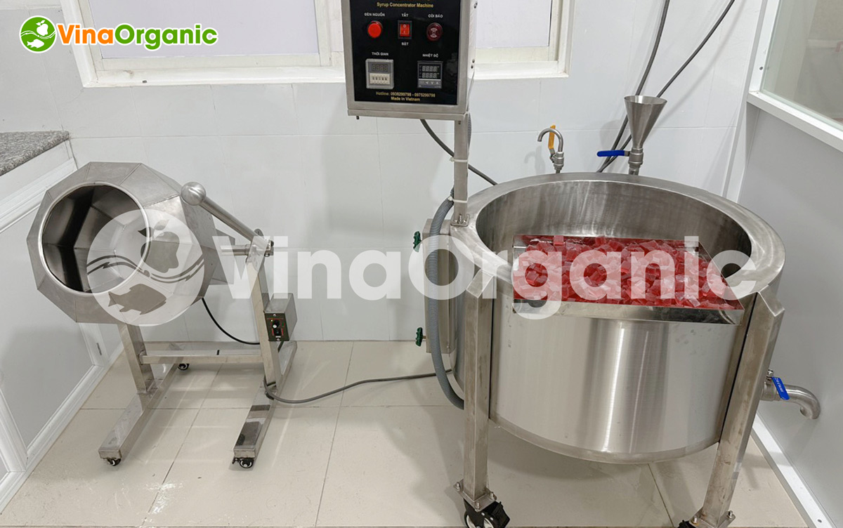 VinaOrganic đã bàn giao và lắp đặt dây chuyền máy thiết bị sản xuất hiện đại kẹo dẻo gừng và dâu đến khách hàng tại Cần Thơ