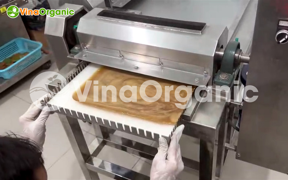 VinaOrganic đã bàn giao và lắp đặt dây chuyền máy thiết bị sản xuất hiện đại kẹo dẻo gừng và dâu đến khách hàng tại Cần Thơ