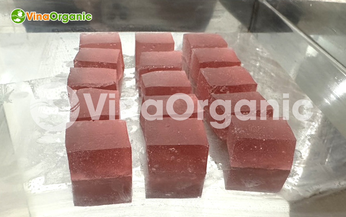 VinaOrganic đã bàn giao và lắp đặt dây chuyền máy thiết bị sản xuất hiện đại kẹo dẻo gừng và dâu đến khách hàng tại Cần Thơ