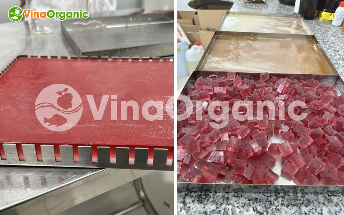 VinaOrganic đã bàn giao và lắp đặt dây chuyền máy thiết bị sản xuất hiện đại kẹo dẻo gừng và dâu đến khách hàng tại Cần Thơ