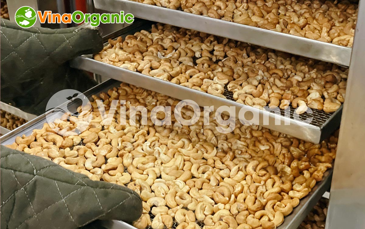 VinaOrganic bàn giao Máy sấy giòn ngũ cốc 30 khay sản xuất hạt điều sấy giòn tại Đồng Nai. Liên hệ hotline: 0975.299798 - 0938.299798