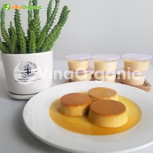 chuyen-giao-cong-nghe-banh-flan-chat-luong-cao-tu-vinorganic-4