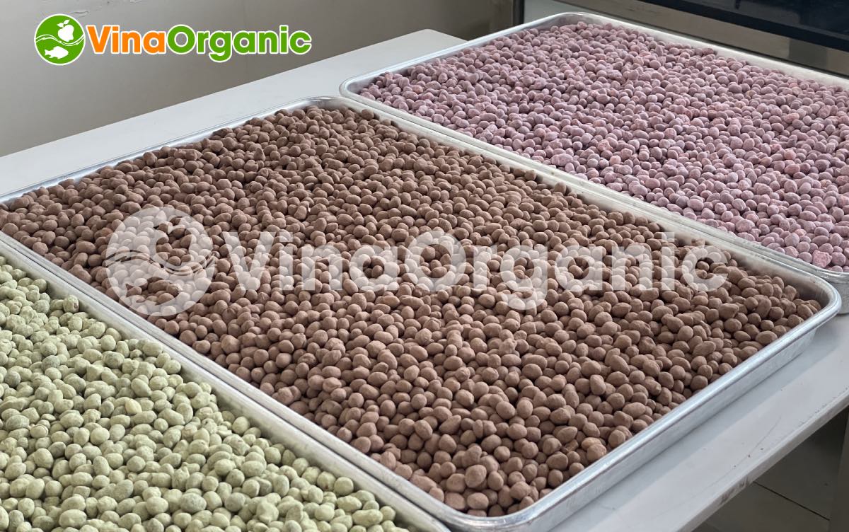 VinaOrganic đã có buổi chuyển giao thành công Công nghệ đậu phộng caramel ngũ vị đến khách hàng tại Lab VinaOrganic