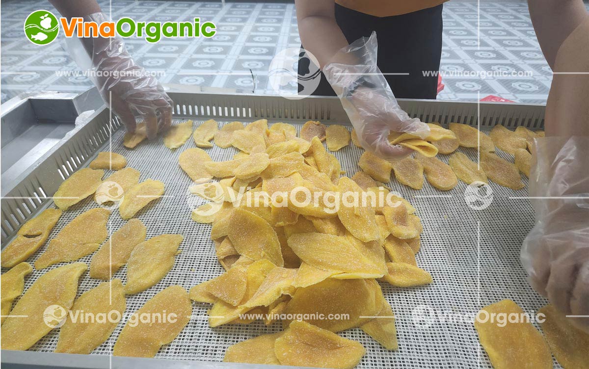 Chuyển giao công nghệ xoài sấy dẻo là một trong những sản phẩm nằm trong chuỗi các công nghệ trái cây sấy dẻo chất lượng cao VinaOrganic