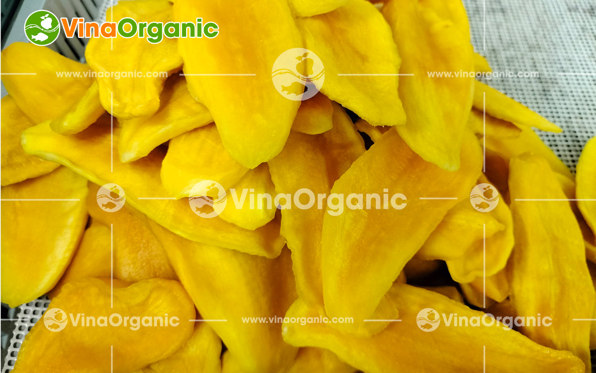 Chuyển giao công nghệ xoài sấy dẻo là một trong những sản phẩm nằm trong chuỗi các công nghệ trái cây sấy dẻo chất lượng cao VinaOrganic