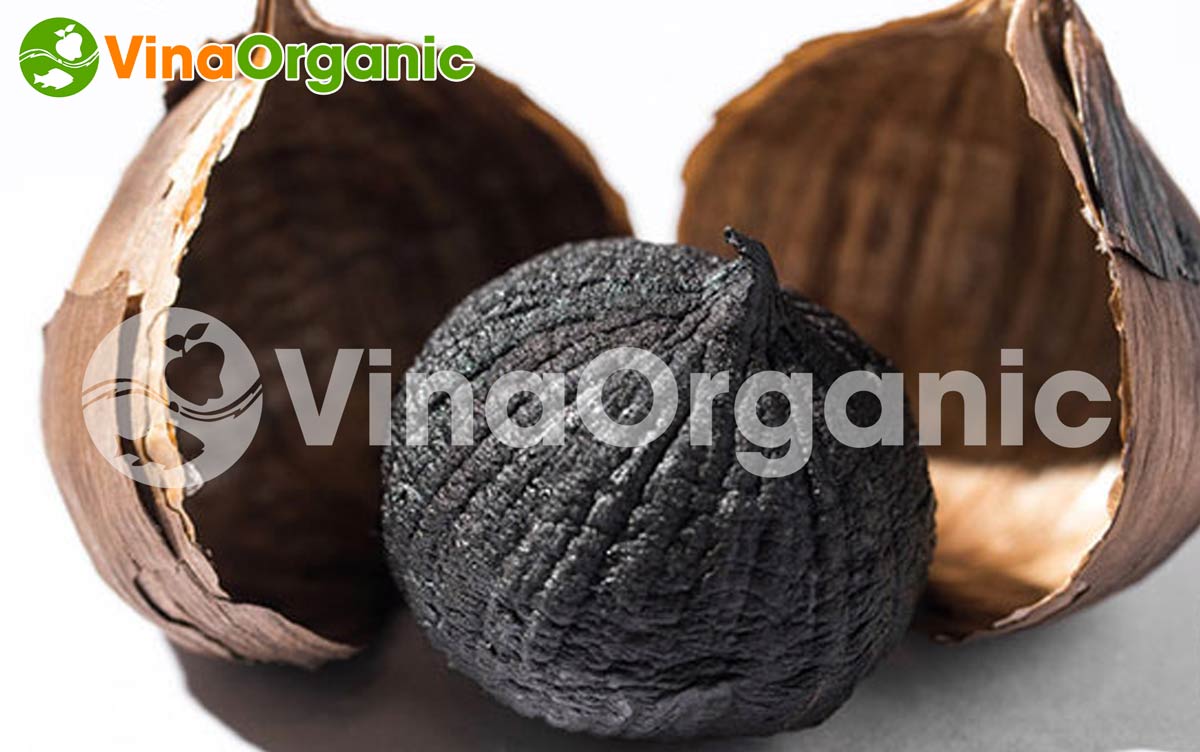 VinaOrganic cung cấp bí quyết và máy thiết bị làm tỏi đen mềm, dẻo và thơm ngon đặc trưng. Liên hệ Hotline: 0975.299798 - 0938.299798