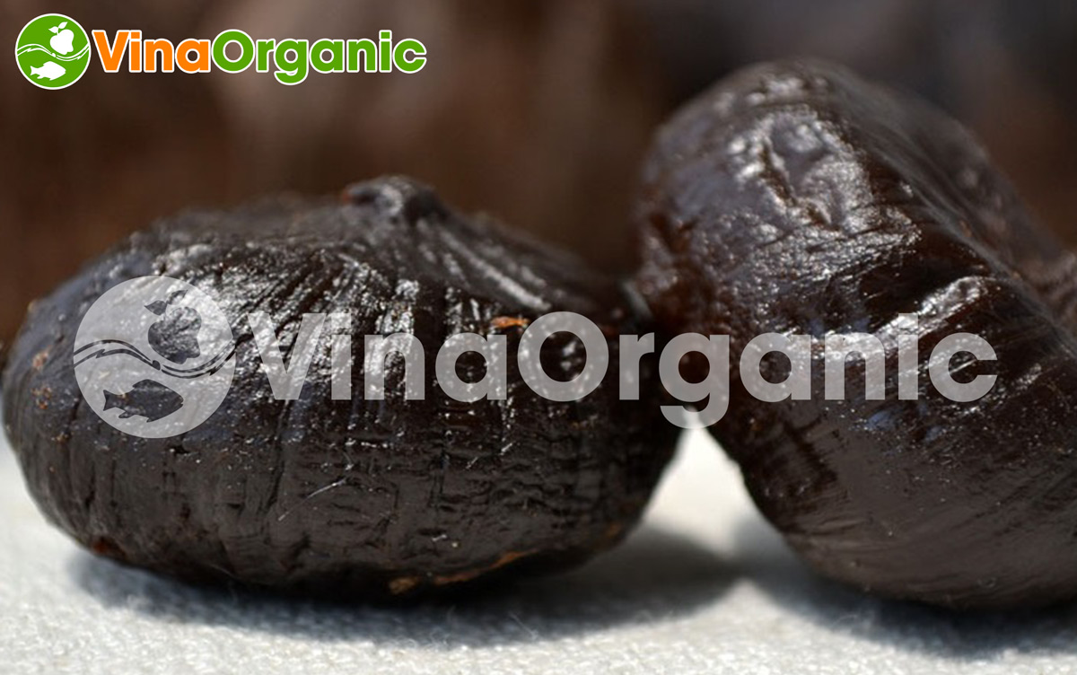 VinaOrganic cung cấp bí quyết và máy thiết bị làm tỏi đen mềm, dẻo và thơm ngon đặc trưng. Liên hệ Hotline: 0975.299798 - 0938.299798