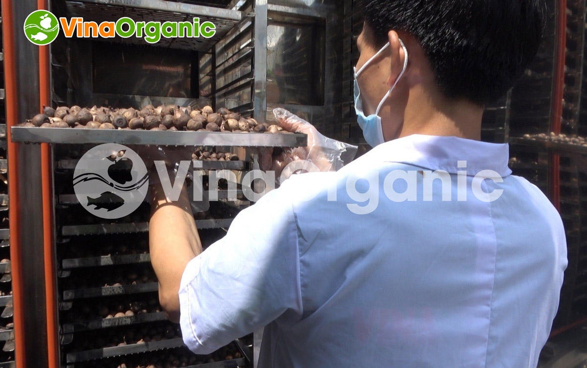 VinaOrganic cung cấp bí quyết và máy thiết bị làm tỏi đen mềm, dẻo và thơm ngon đặc trưng. Liên hệ Hotline: 0975.299798 - 0938.299798