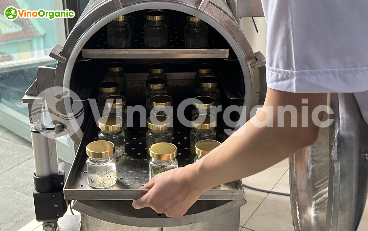 VinaOrganic cung cấp dây chuyền sản xuất yến hũ tiệt trùng uy tín, chất lượng, đảm bảo an toàn thực phẩm. Liên hệ Hotline: 0975299798 - 0938299798