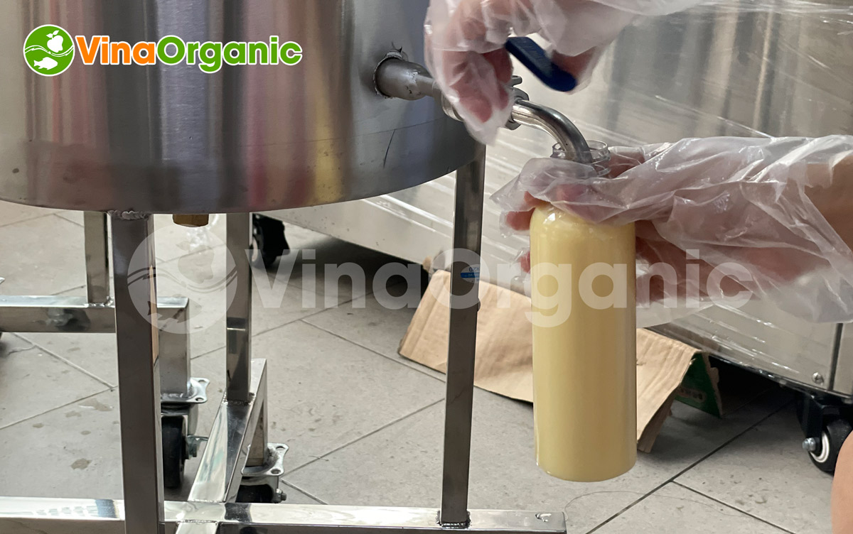 VinaOrganic chuyển giao công nghệ và máy móc thiết bị sản xuất sữa bắp thanh trùng. Liên hệ ngay Hotline/Zalo: 0938299798 – 0975299798.