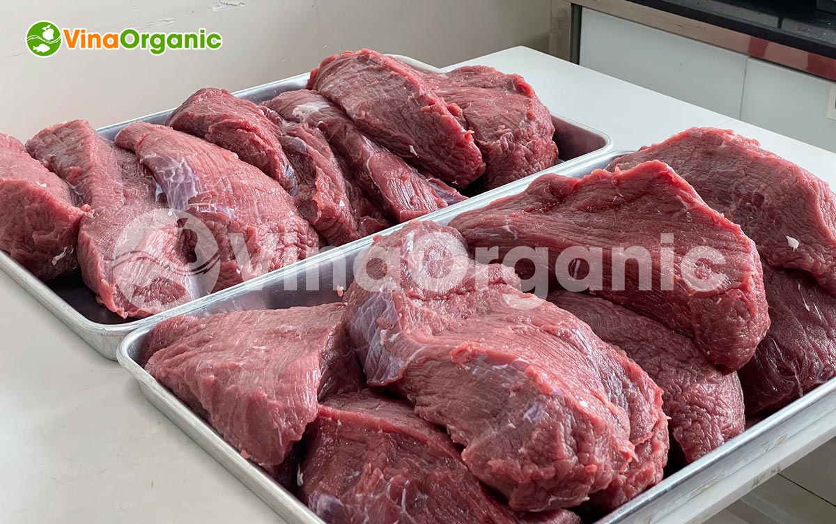 VinaOrganic chuyển giao công nghệ khô bò miếng thơm ngon, đậm vị cho quý khách hàng. Liên hệ ngay Hotline/Zalo 0938299798 – 0975299798.