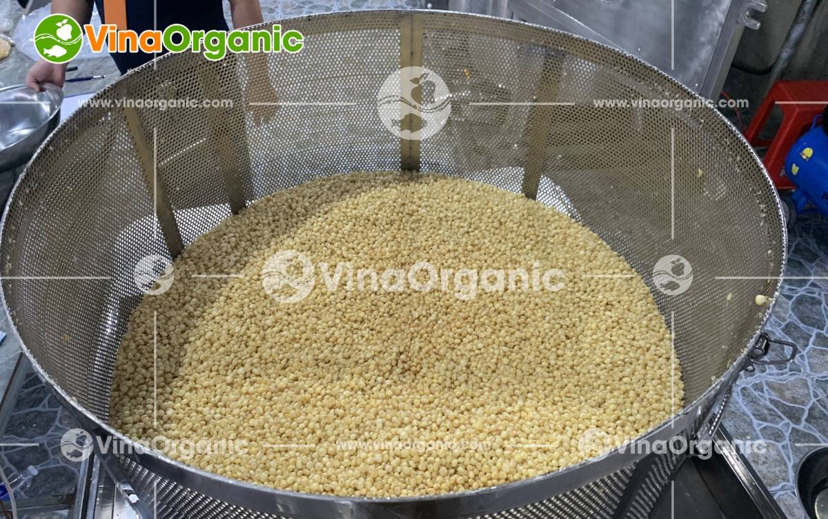 VinaOrganic chuyển giao công nghệ Ngô nếp tươi sấy (chiên chân không) mới. Liên hệ hotline 0938299798 - 0975299798 - 0948299798 để được tư vấn!!