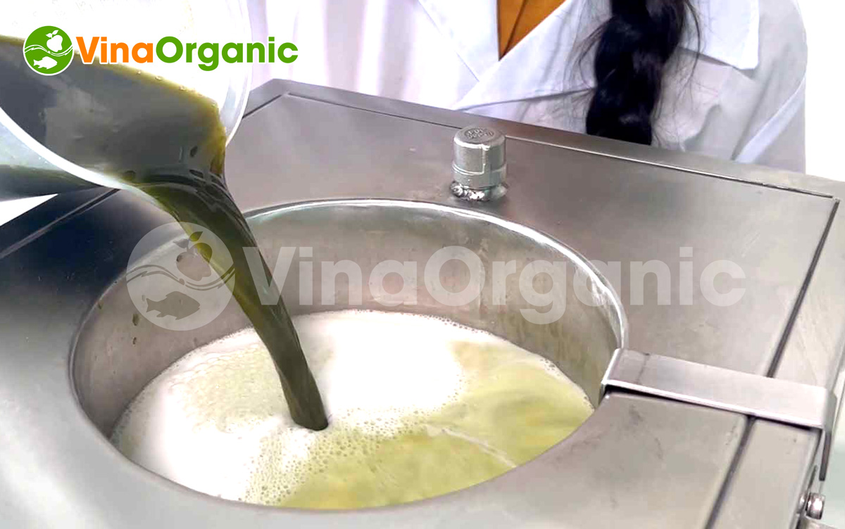 Sữa rau má là thức uống chứa nhiều nguồn dinh dưỡng. Và nếu bạn đang muốn đầu tư thì công nghệ sản xuất sữa rau má của VinaOrganic sẽ giúp bạn thực hiện.
