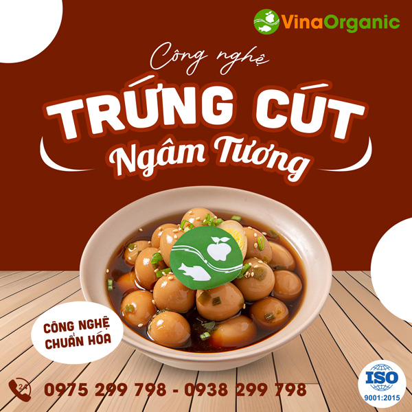 Chuyển giao công nghệ trứng cút ngâm tương tiệt trùng thơm ngon