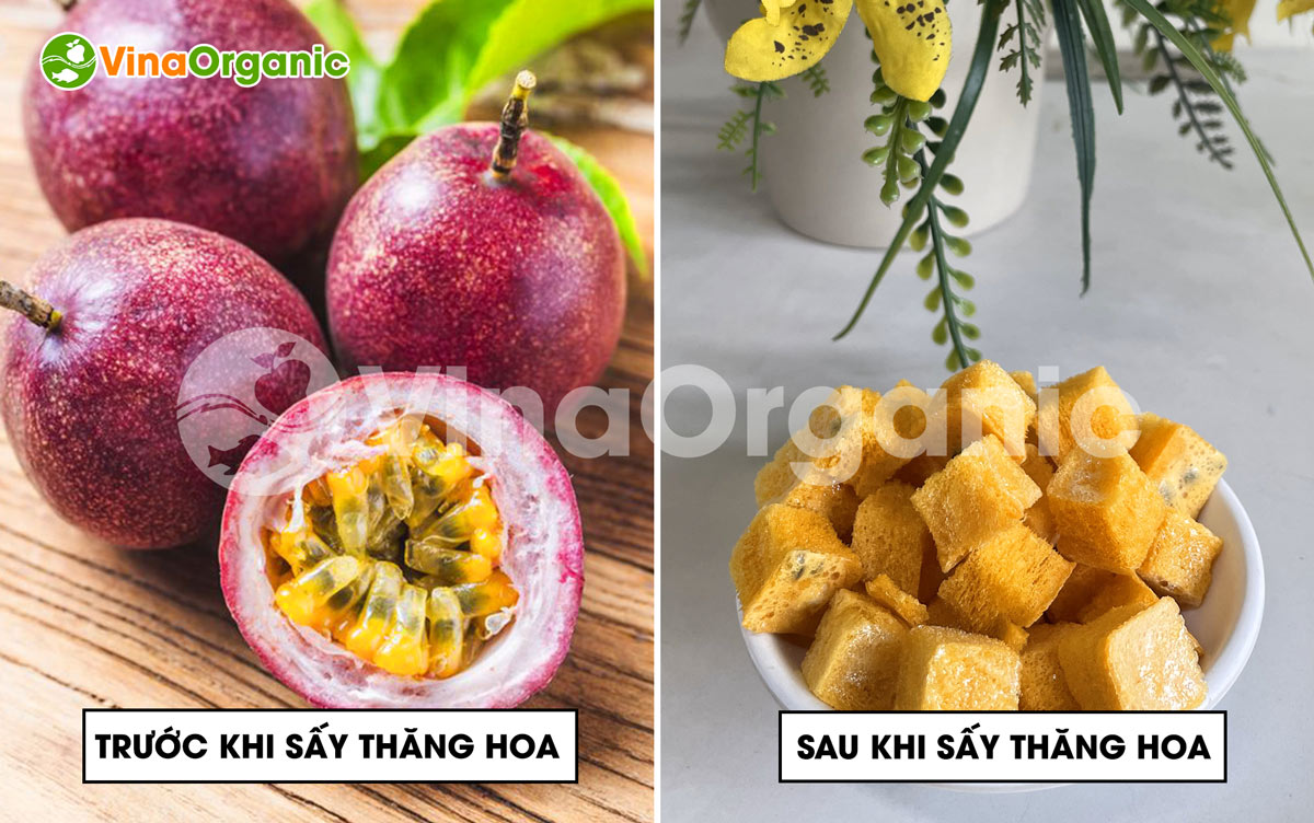 VinaOrganic cung cấp giải pháp cho thực phẩm sấy thăng hoa giúp giữ nguyên giá trị dinh dưỡng. Đầu tư ngay để nâng tầm sản phẩm của bạn!