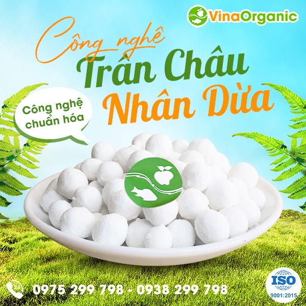 Chuyển giao công nghệ Trân châu nhân dừa tròn đều, không vỡ