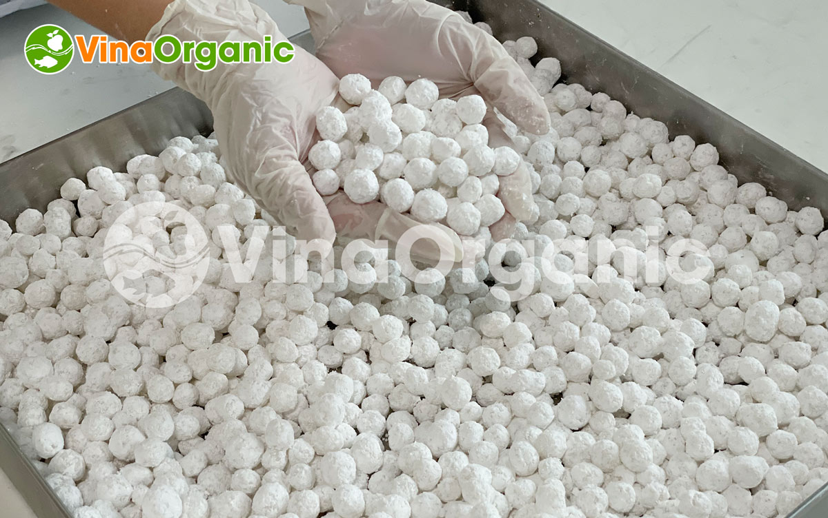 VinaOrganic đã nghiên cứu và sẵn sàng chuyển giao công nghệ trân châu nhân dừa đến với khách hàng. Hãy cùng tìm hiểu qua bài viết này để hiểu rõ hơn nhé!