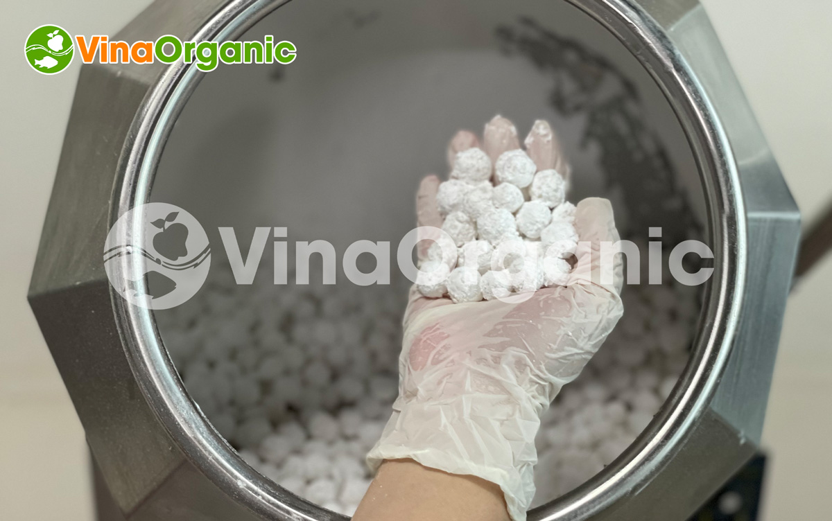 VinaOrganic đã nghiên cứu và sẵn sàng chuyển giao công nghệ trân châu nhân dừa đến với khách hàng. Hãy cùng tìm hiểu qua bài viết này để hiểu rõ hơn nhé!